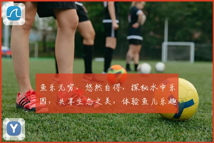 鱼乐无穷，悠然自得，探秘水中乐园，共享生态之美，体验鱼儿乐趣