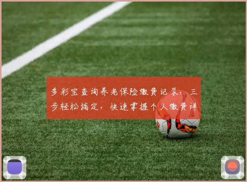 多彩宝查询养老保险缴费记录，三步轻松搞定，快速掌握个人缴费详情，一目了然。