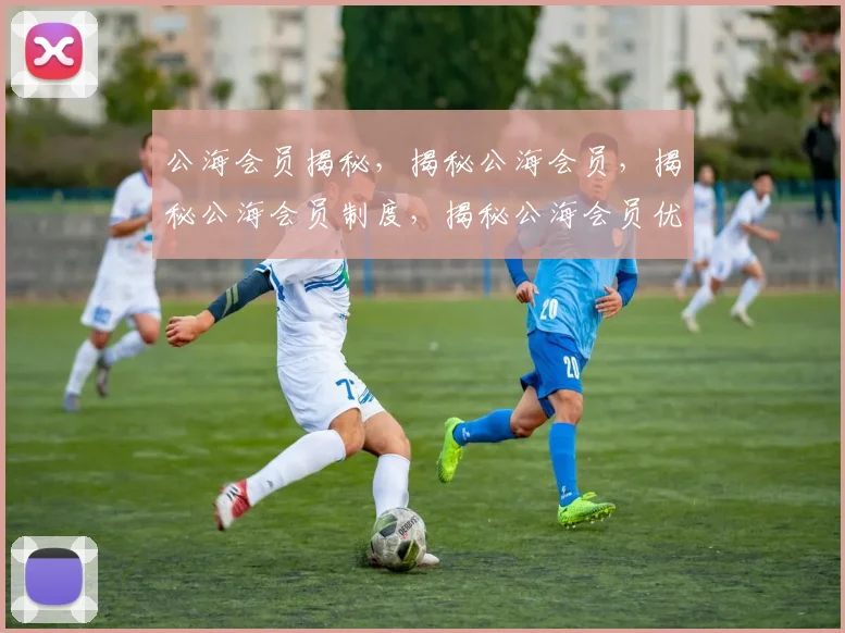 公海会员揭秘，揭秘公海会员，揭秘公海会员制度，揭秘公海会员优势