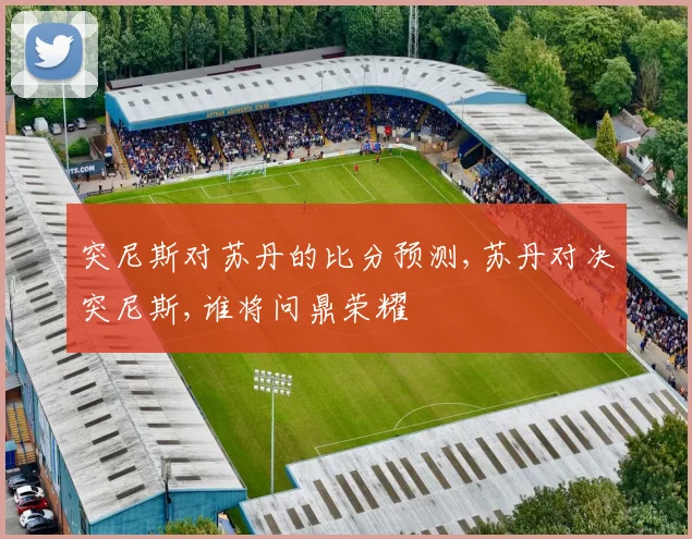 突尼斯对苏丹的比分预测,苏丹对决突尼斯,谁将问鼎荣耀